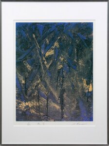 Art hand Auction لوحة كينجي هارا نايت سكاي بالشاشة الحريرية [الأصالة مضمونة] - معرض هوكايدو, عمل فني, مطبعة, الشاشة الحريرية