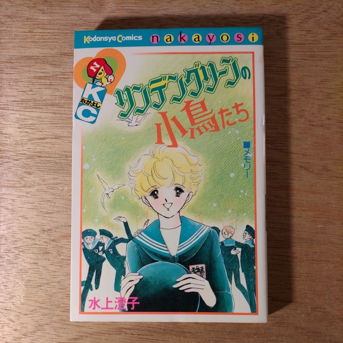 年最新ヤフオク!  #小鳥たちの中古品・新品・未使用品一覧