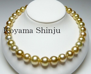 * Oyama pearl * article limit! immediately buying special price! free shipping! rarity color! natural Gold extra-large 11.5-14.8 millimeter White Butterfly pearl pearl necklace nb02