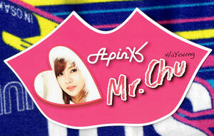 ◆ APINK リリイベ Mr.Chu 手渡しカード ハヨン ◆ カードお渡し会 フォトカード 会場限定 大判 Mr Chu