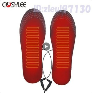 Bt2060: 靴 中敷き 電熱 加熱 インソール 防寒対策 ヒート シューズ USB 充電 男女兼用 フットウェア S Lサイズ 新品 未使用品 足 冷え性