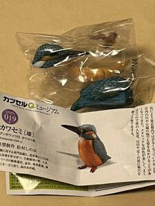 カプセルQミュージアム日本の動物　東京編カワセミ雄