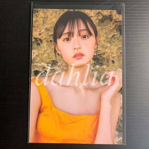 遠藤さくら ポストカード 海辺 岩場 封入 1st 写真集 可憐 乃木坂46