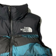 売切り【正規新品】THE NORTH FACE PRINTED 1996 RETRO NUPTSE VEST ダウンベスト ヌプシ RDS 700フィル US限定(XXL)青 総柄 ① 190122-115_画像4