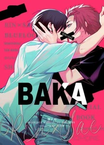 [ブルーロック](カニスの骨 /白井骨)BAKA 凛冴 糸師凛×糸師冴 /24p 同人誌