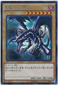 遊戯王 真紅眼の黒竜 シークレットレア 15AX-JPM07