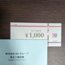 6000円分　DDグループ　株主優待券_画像1