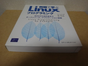 * example ....Linux programming *