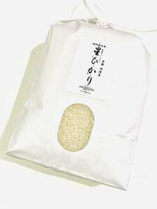 ★新米★令和5年産【丹波産】コシヒカリ 精米 -特別栽培米- “星ひかり” 5kg
