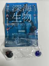 深海生物 DEEP SEA LIFE 単品 ウロコフネタマガイ　[黒] 海洋堂 フィギュア　水族館限定　生物図録 古代魚 ガチャ 深海魚_画像2