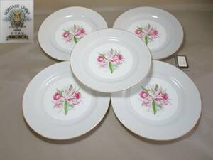 D054* Old Noritake * M seal MARGARITA 25 centimeter plate 5 sheets / used old thing / retro /tina- plate [ including carriage ]