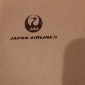 JAL 日本航空　チケット