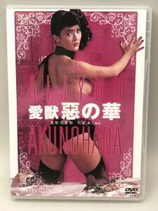 A086【中古DVD】愛獣　惡の華