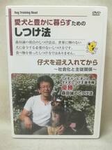 DVD 『愛犬と豊かに暮らすためのしつけ法 仔犬を迎え入れてから』森田誠/TVチャンピオン/社会化/主従関係/ 10-8679_画像1