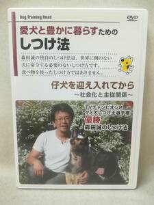 DVD [ love собака .. краб ... поэтому. воспитание закон . собака ... inserting из ] Morita ./TV Champion / общество ./.. отношение / 10-8679