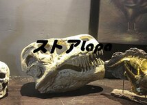 高級製品! 白亜紀 恐竜 ティラノサウルス オブジェ 置物 モデル 樹脂 ハンドメイド 卓上 彫刻 彫像 インテリア 玄関 雑貨 q270_画像3