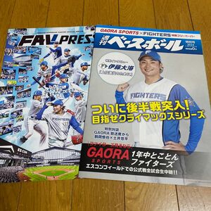 週刊ベースボール　特別号　　FAV PRESS 2024