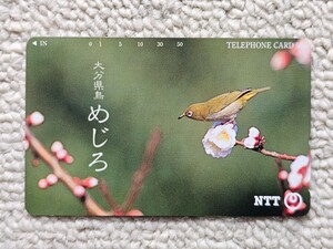 未使用品 大分県鳥 めじろ メジロ 50度数 テレホンカード