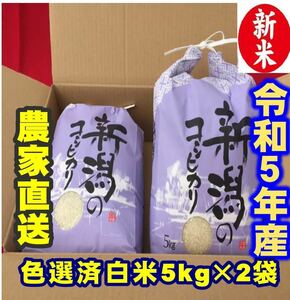 新米　令和5年産新潟コシヒカリ　白米5kg×2個★農家直送★色彩選別済31