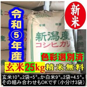 新米令和5年産新潟コシヒカリ小分け3袋 農家直送 玄米25㌔か白米22.5㌔ 色彩選別済 13