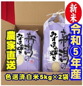 新米・令和5年産新潟みずほの輝き★色彩選別済白米5㌔×2個★幻の農家専用23