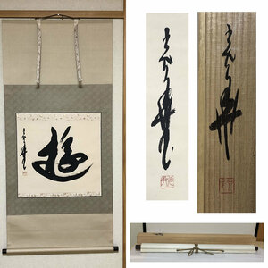 掛軸 茶掛軸 時光華 「遊」 共箱 紙本 63.7cm×136cm 一字書 茶掛け軸 掛け軸【k2666】