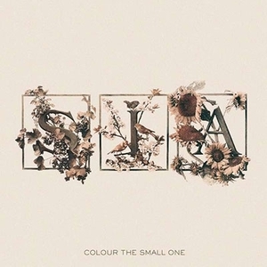 Colour the Small One Sia 輸入盤CD