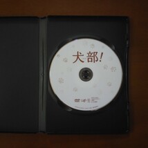 犬部！ DVD レンタル版 林遣都 中川大志 大原櫻子_画像4