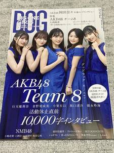 BIG ONE GIRLS 74 AKB48 Team8 付録完備！