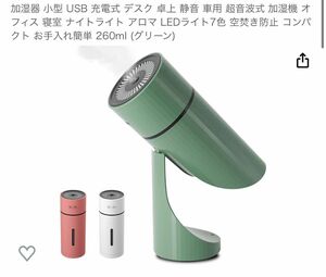 加湿器 小型 USB 充電式 デスク 卓上 静音 車用 超音波式 加湿機 オフィス 寝室 260ml (グリーン)