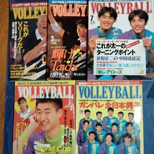  monthly volleyball 1995 year 2*3*7*11*12 month number middle . inside Aoyama south Sasaki large . mountain inside middle .