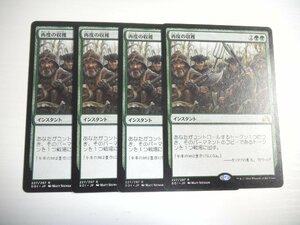 D491【MTG】再度の収穫 4枚セット