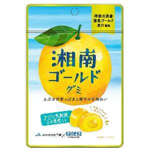 カネカ食品 湘南ゴールドグミ ラブレ乳酸菌入り 40g×10袋