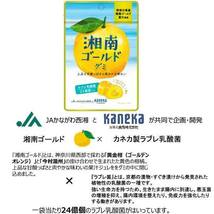 グミ 乳酸菌入り 湘南ゴールドグミ カネカ食品 美味しい スッキリ 甘酸っぱさ さわやかな味わい 果汁ジュレ ラブレ乳酸菌 みかん_画像2