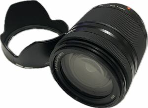 ★極上美品★ ソニー SONY DT 18-250mm F3.5-6.3 SAL18250 #6990086