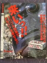 石鯛倶楽部　2002年9月号　NO.35　イシダイ　クチジロ　アラ　クエ　底物_画像2