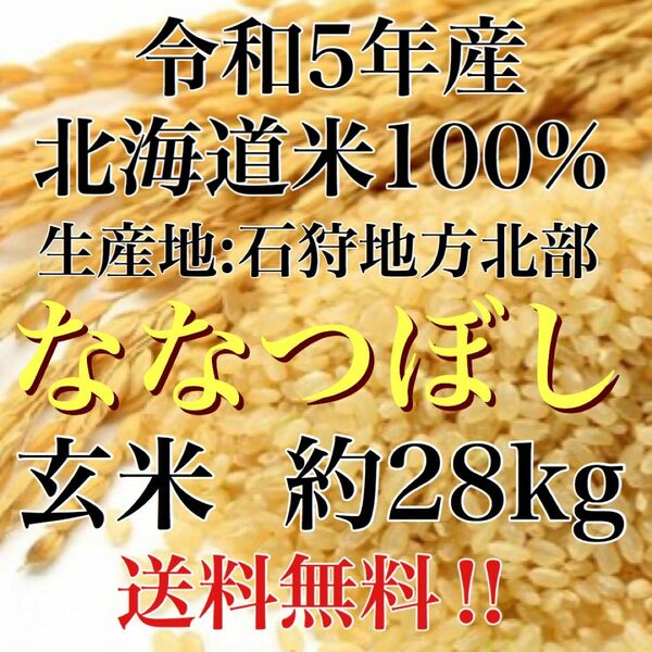 新米！令和5年産北海道米100%ななつぼし玄米約28キロ