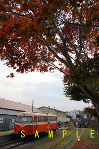 ☆00～10年代鉄道10jpgCD[南部縦貫鉄道キハ101・102・104形(夕暮れ撮影会 2011 その2)]☆