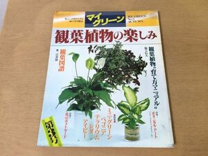 ●K31B●マイグリーン●観葉植物の楽しみ●育て方ミニグリーンベゴニアテラリウムシダアイビー●昭和57年●平凡社●即決