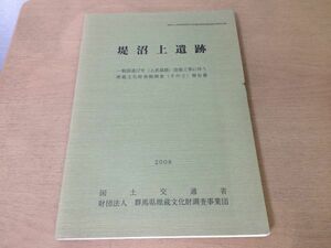 ●K01E●堤沼上遺跡●群馬県竪穴住居跡遺構遺物●一般国道17号改築工事に伴う埋蔵文化財発掘調査報告書●2008年●国土交通省●即決