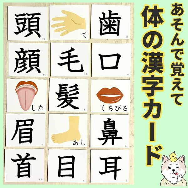 体の漢字カード　幼児　小学生　特別支援　カルタ