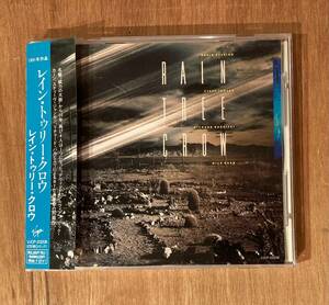 ■国内盤帯付きCD■Rain Tree Crow (レイン・トゥリー・クロウ) VJCP-23208■JAPAN/David Sylvian/Mick Karn/’91年唯一アルバム