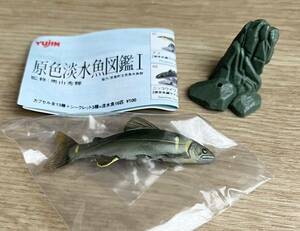 ◆YUJIN ユージン 原色淡水魚図鑑 アユ ミニブックレット付き お魚 フィギュア 中古