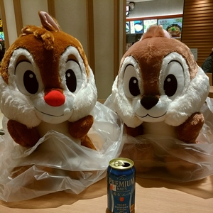 ultimate bad defect siblings? chip Dale soft toy set squirrel big 