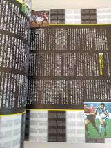 サッカーダイジェスト　ファンタジスタ50　日本スポーツ企画出版　【即決】_画像7