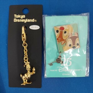 Tokyo Disneyland/ディズニー ネックレス/ピンズ/メダル/キーホルダー 銅板 19点セット/まとめて スワロフスキー/クリスタル ピンズ非売品の画像6