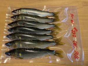 ♪♪旬魚 天然、鮎　7尾 塩焼きに 絶品 紀州 有田川(18)♪♪