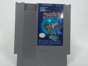海外限定版 海外版 ファミコン ソルスティス 三次元迷宮の狂獣 SOLSTICE NES