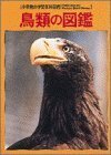 【中古】 鳥類の図鑑―Wide color (小学館の学習百科図鑑 (4))