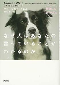 【中古】 なぜ犬はあなたの言っていることがわかるのか 動物にも“心”がある